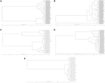 Global review of the H5N8 <mark class="highlighted">avian influenza virus</mark> subtype